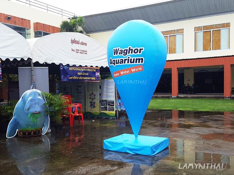 ผลงานสั่งผลิตตามแบบลูกค้า โดยลำไยไทย — balloon-castomer16